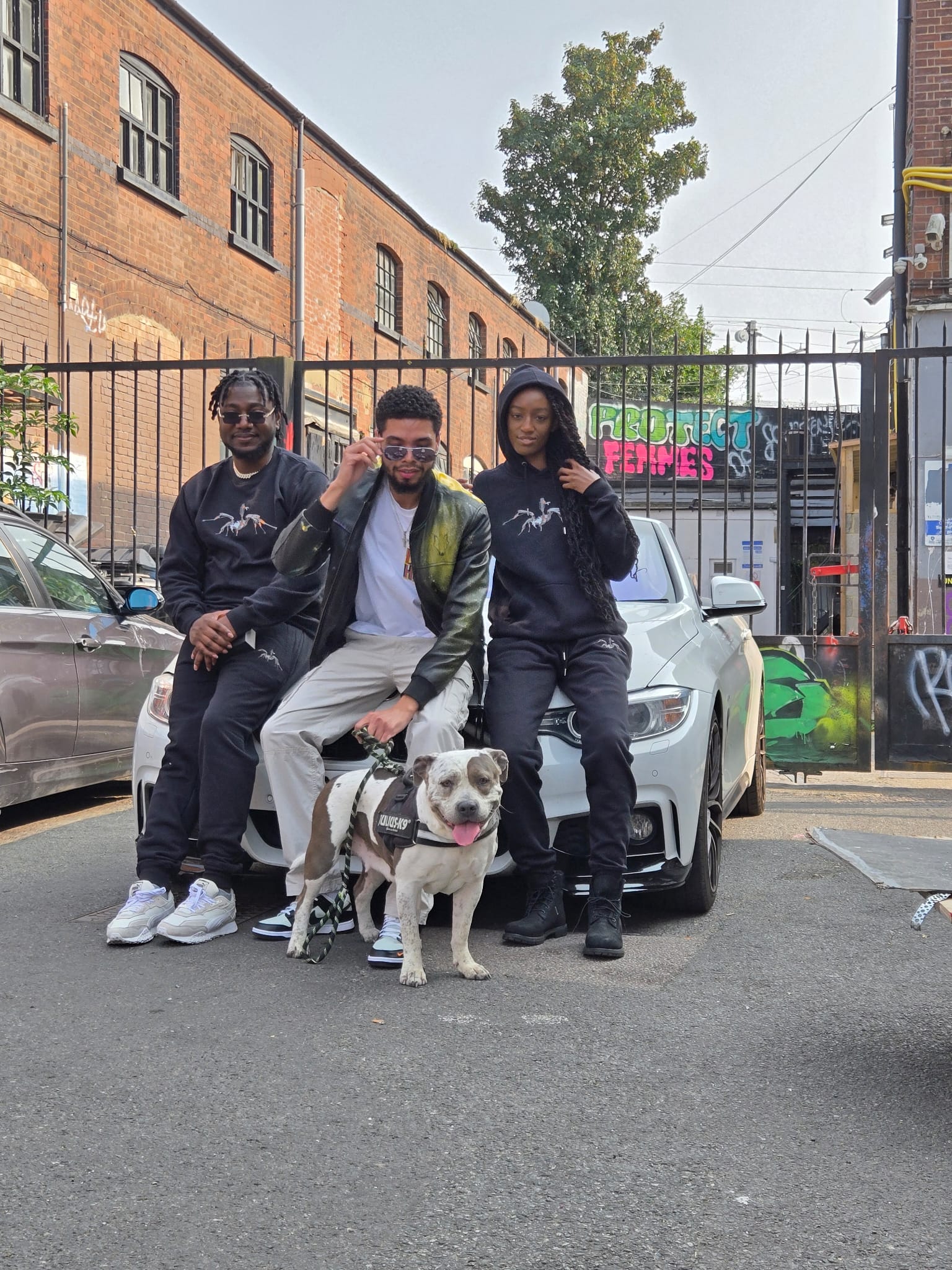 Rare Wolfz gallery photo 8